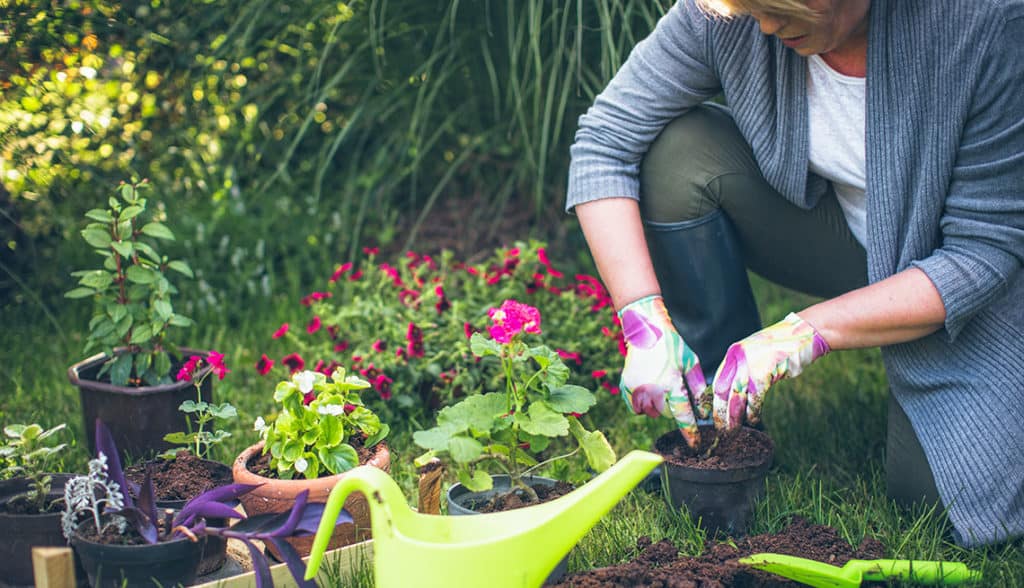 Garden Mistakes and How To Avoid Them