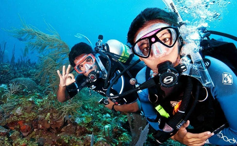 Two scuba divers scuba diving